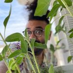 Trevor Horne - @knottytrevor - Instagram