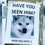 Trevor Horne - @hornes3459 - Instagram