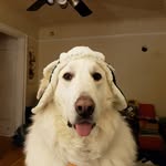 Trevor Howell - @trevor.howell.7587 - Instagram