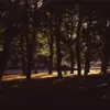 trevor.ivory602 - @trevor.ivory602 - TikTok