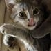 Trevor Joy - Facebook