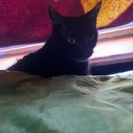 TREVOR JOYNER - @trevorjoyner198 - Instagram