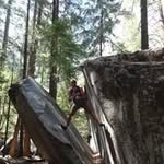 Trevor Kernes - @trevorkernes - Instagram