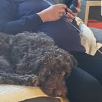 Trevor Kinder - Facebook