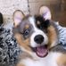 Trevor Kittilsen - Facebook