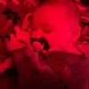 Trevor Lavare - @trevor.lavare - TikTok