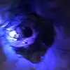 Trevor Larkin - @nightlarkin - TikTok