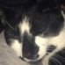 Trevor Larson - Facebook