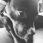 Trevor Lowe - @trevorlowe9197 - Instagram
