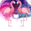 Trevor Mac - @trevormac1 - TikTok