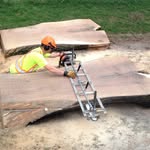 Trevor MacDonald - @trevorstrees - Instagram