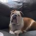 Trevor Macdougall - Facebook