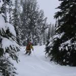 Trevor MacPhee - @trevormacphee - Instagram