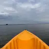 Trevor McSwain - @trevor.mcswain2 - TikTok
