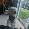 Manueltrevor - @manueltrevor_12378 - TikTok