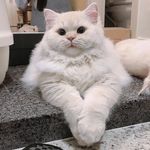 Trevor Manuel - @trevor_manuel_01 - Instagram