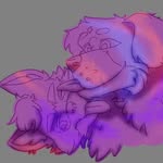 Trevor Maxwell - @rykerthefloof - Instagram