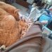 Trevor Mays - Facebook