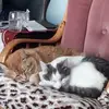 Trevor Mays - @trevor.mays8 - TikTok