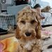 Trevor McHenry - Facebook