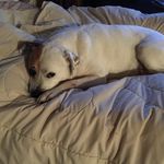 Trevor Meeks - @meeks3425 - Instagram