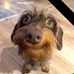 Trevor Moody - Facebook