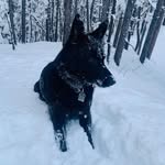 Trevor - @trevor_mountain_life - Instagram