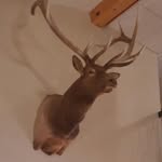 Trevor Neale - @trev.or3461 - Instagram