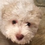 Trevor North - @north_trevor - Instagram