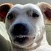 Trevor North - Facebook