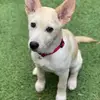 trevorparks6597 - @trevorparks6597 - TikTok