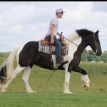 Trevor Patrick - @trevor_patrick11 - Instagram
