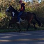 Trevor Patrick - @trevor.patrick.583 - Instagram