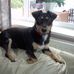 Trevor Paynter - Facebook