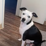 Trevor Pitts - @tdizzy2002 - Instagram