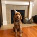 Trevor Preston - Facebook