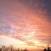 Trevor Provost - Facebook