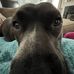 Trevor Quest - Facebook