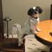 Trevor Richard - Facebook
