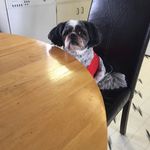Trevor Richard - @trevor.richards.50552 - Instagram
