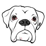 Trevor Richter - @trevorrichter.inc - Instagram
