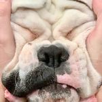 Trevor Richter - @white_boxer_girl - Instagram
