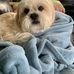 Trevor Rosenberg - Facebook