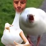 Trevor Rosenberger - @trevorrosenberger - Instagram