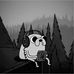 Trevor Santos - Facebook