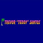 Trevor "Teddy" Santos Inc. - @tts_auction_antigua - Instagram