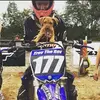 Trevor Sisson - @trevorsisson1 - TikTok