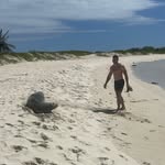 Trevor Lyon - @trevors_lyon - Instagram