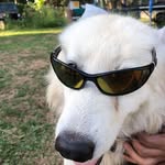 Trevor Small - @trevor.small.56614 - Instagram