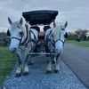 Trevor Spielman - @trevorspielman - TikTok